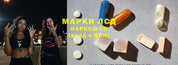 прущий лед Алзамай