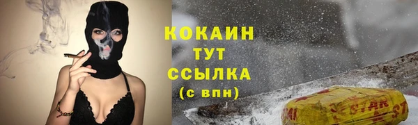 прущий лед Алзамай
