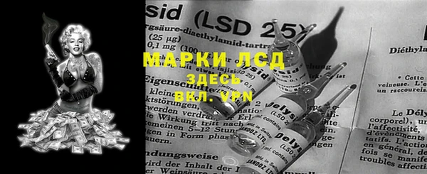 прущий лед Алзамай